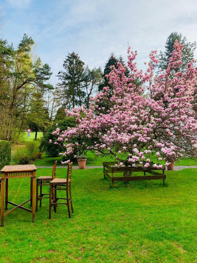 Landhotel Waldhaus Laubach  Екстер'єр фото